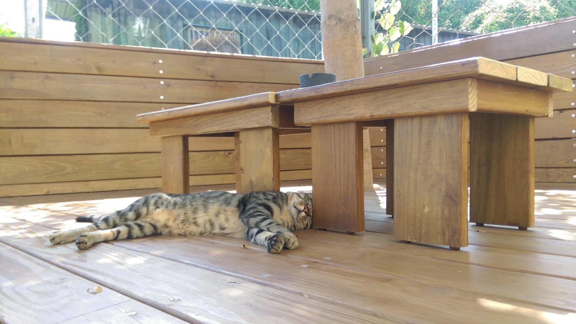 都蘭朋友家 Dulan Friends Hostel ตงเหอ ภายนอก รูปภาพ